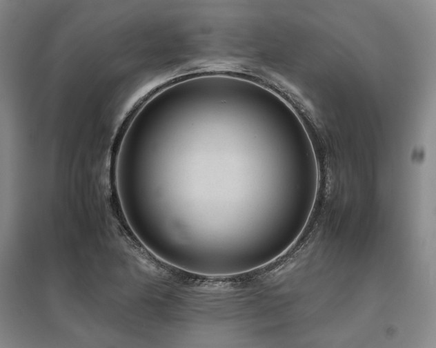 X0000095911174200801111225