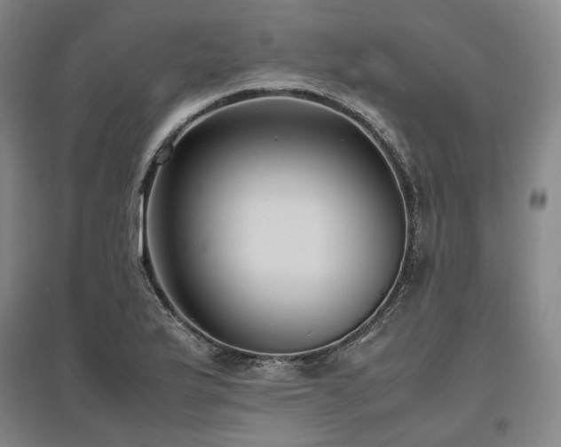 X0000095911175200801111225