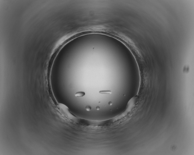 X0000095911176200801111225