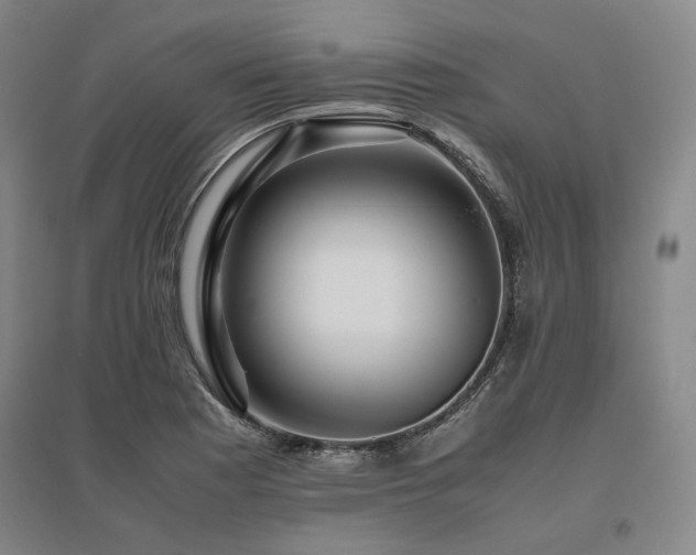 X0000095911177200801111225