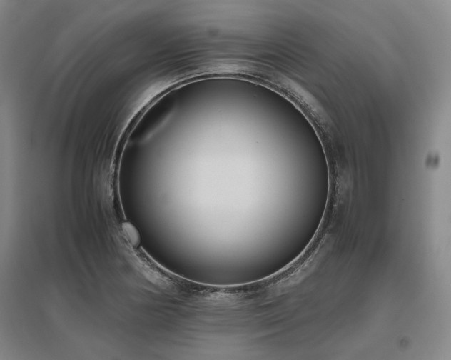 X0000095911178200801111225