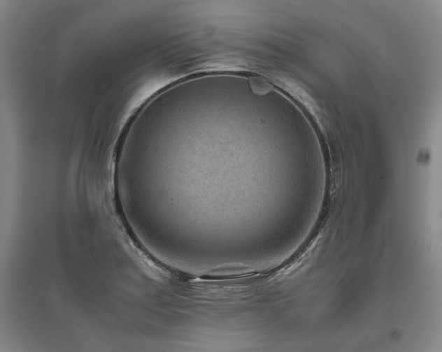 X0000095911179200801111225