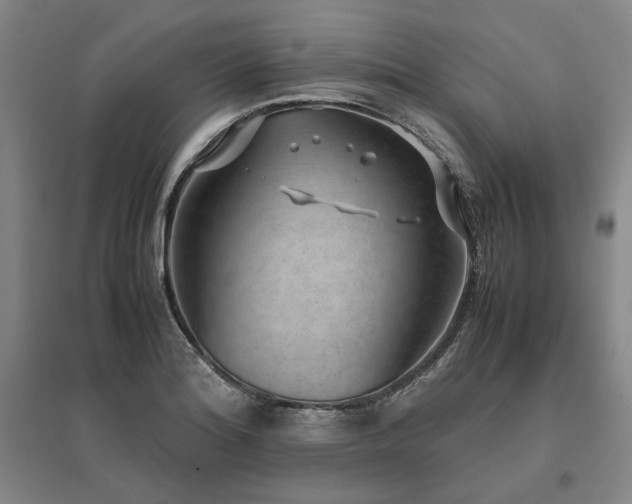 X0000095911180200801111225