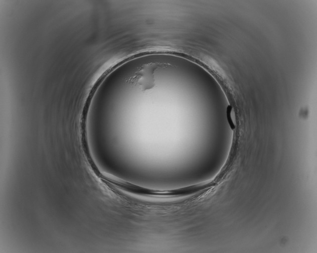 X0000095911181200801111225