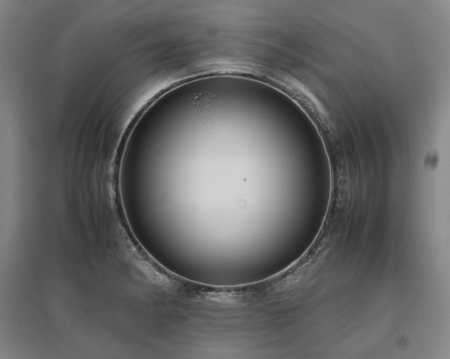 X0000095911182200801111225