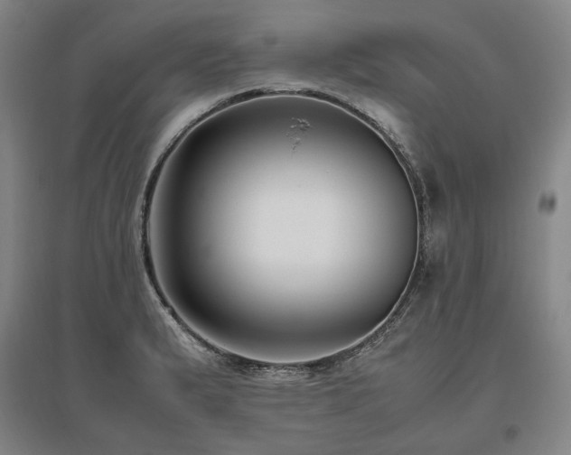 X0000095911183200801111225