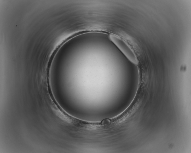 X0000095911184200801111225