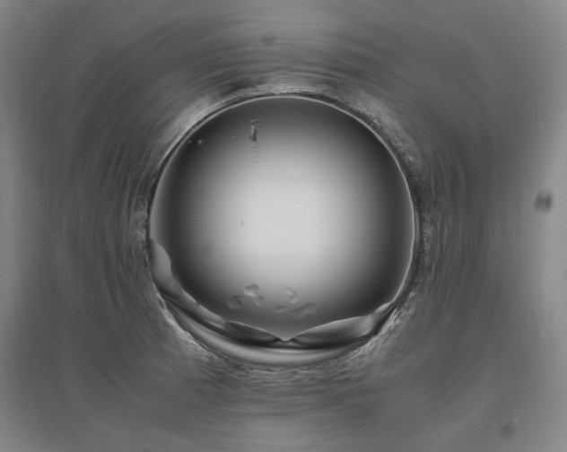 X0000095911185200801111225