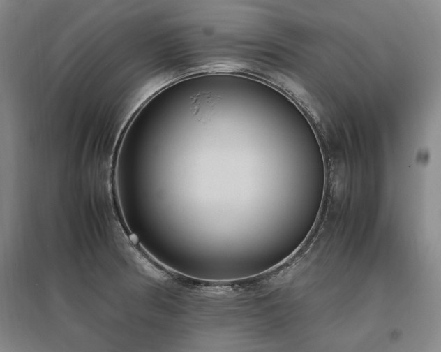 X0000095911186200801111225
