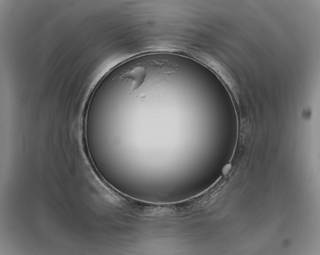 X0000095911187200801111225