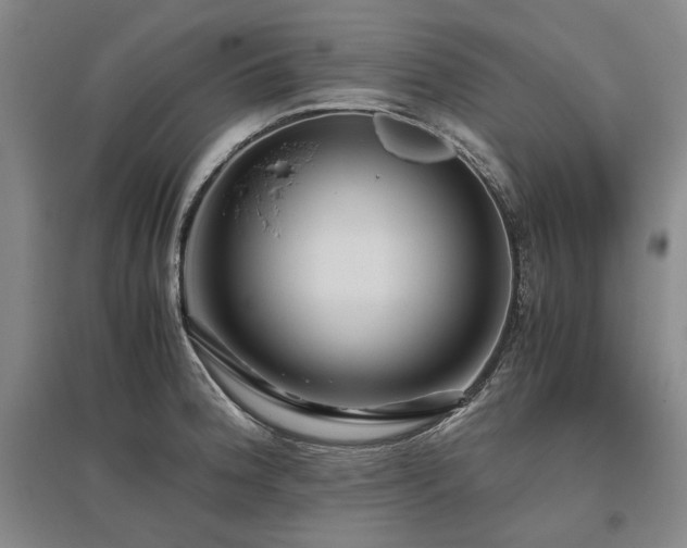 X0000095911188200801111225