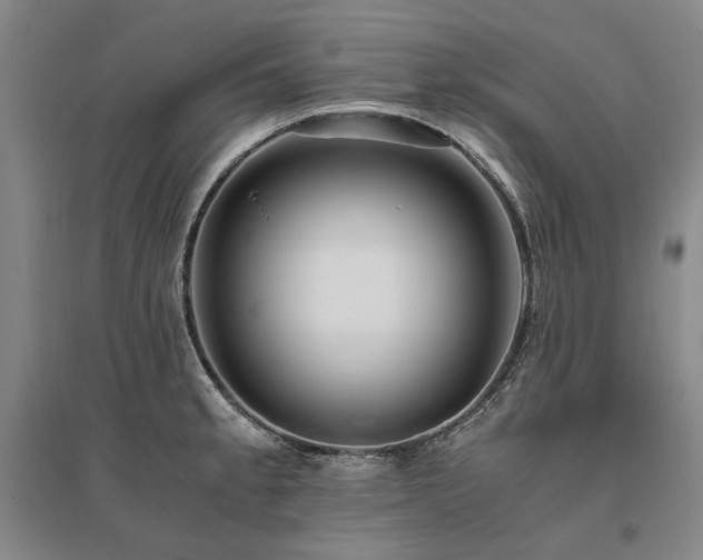 X0000095911189200801111225