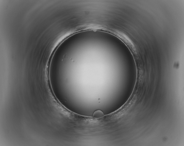 X0000095911190200801111225