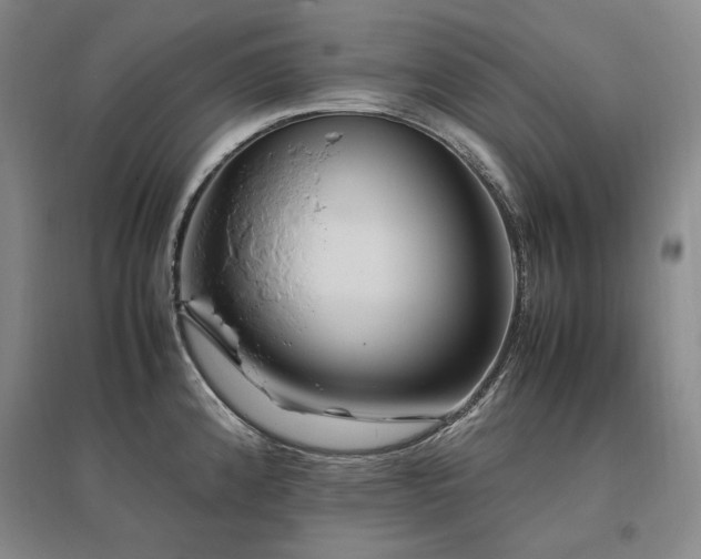 X0000095911192200801111225