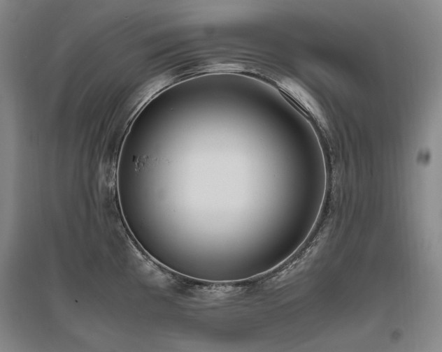 X0000095911193200801111225