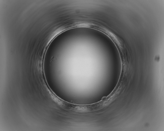 X0000095911194200801111225