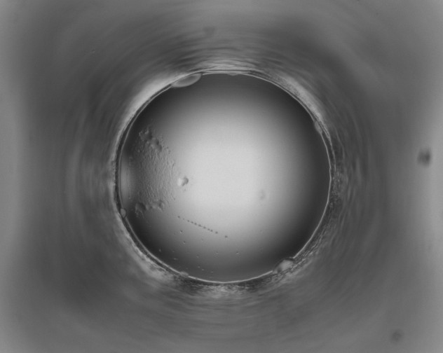 X0000095911195200801111225