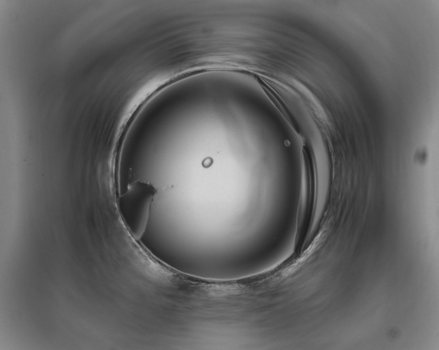 X0000095911196200801111225