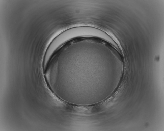 X0000095911197200801111225