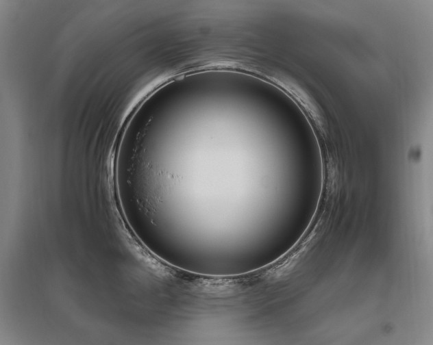 X0000095911198200801111225