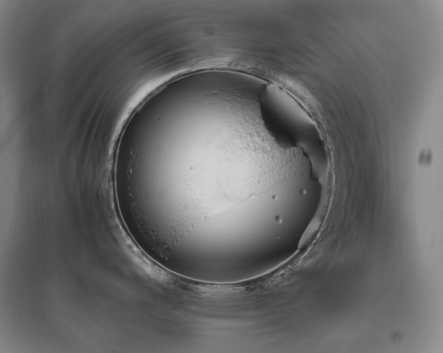 X0000095911200200801111225