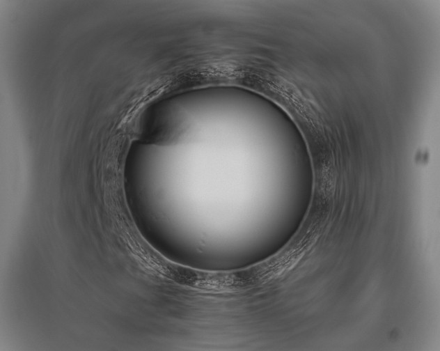 X0000095911201200801111224