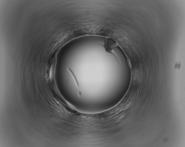 X0000095911202200801111224