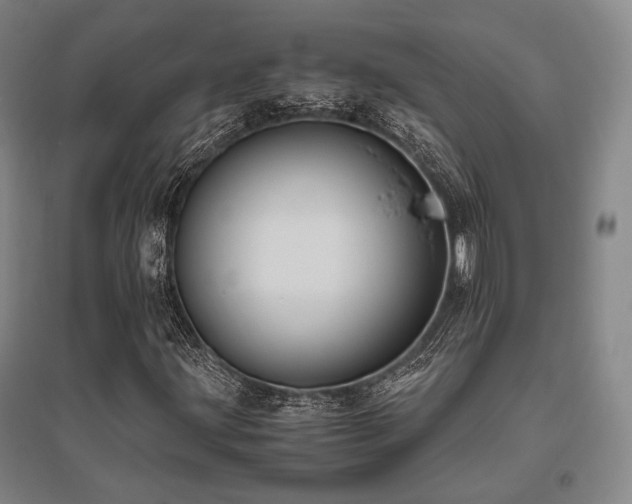 X0000095911203200801111224