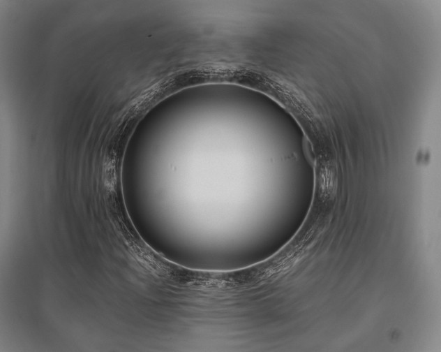X0000095911204200801111224