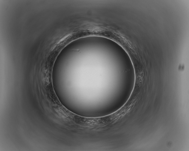 X0000095911205200801111224