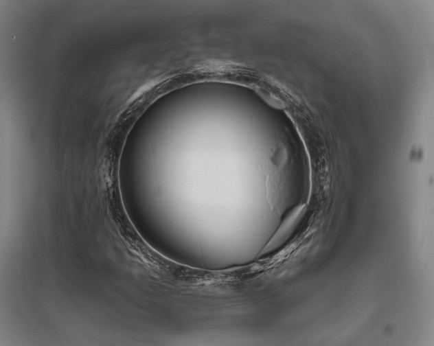 X0000095911206200801111224