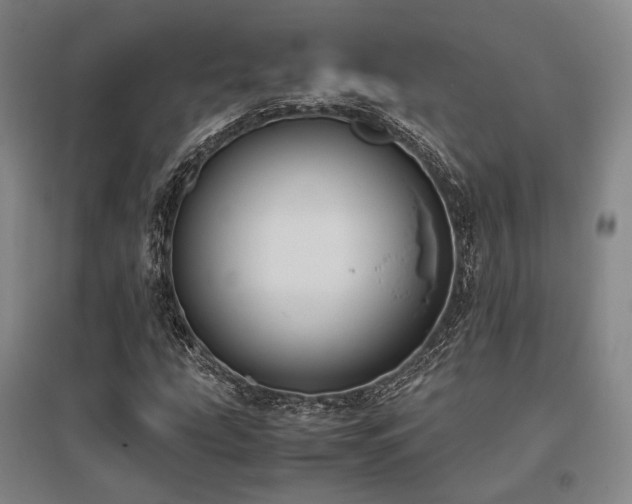 X0000095911207200801111224