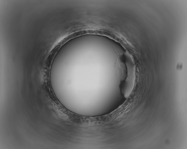 X0000095911208200801111224