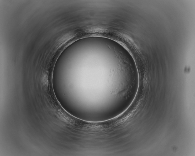 X0000095911209200801111224