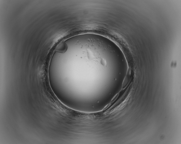 X0000095911210200801111224