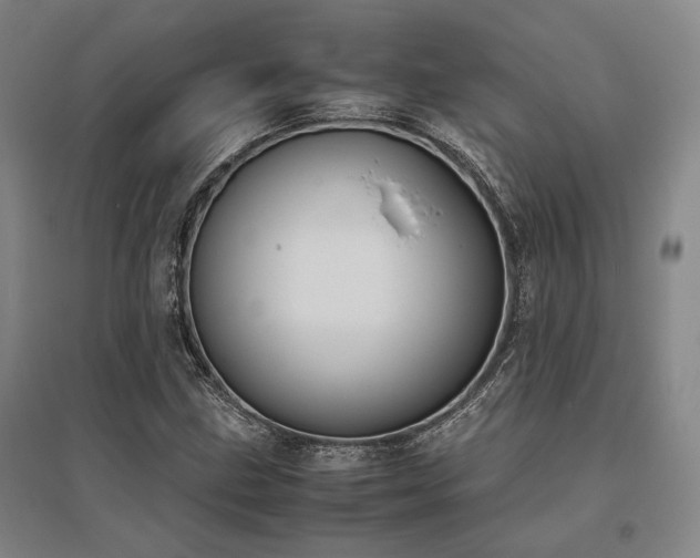 X0000095911211200801111224