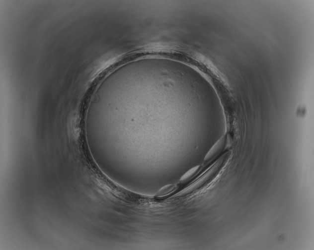 X0000095911213200801111224