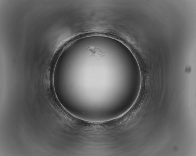 X0000095911214200801111224
