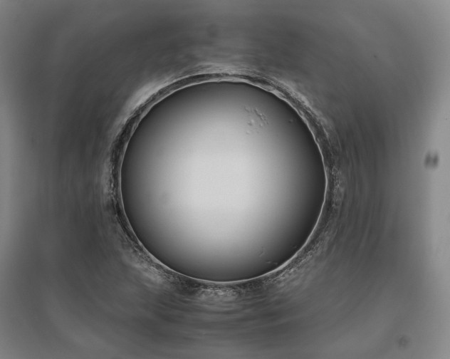 X0000095911215200801111224