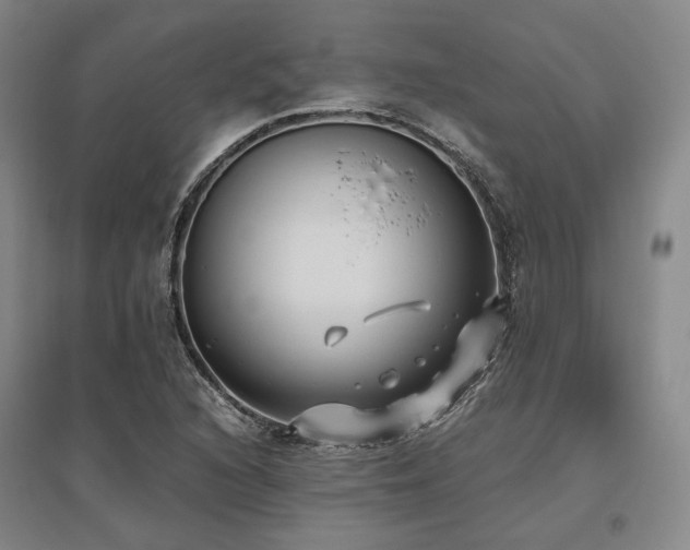 X0000095911216200801111224