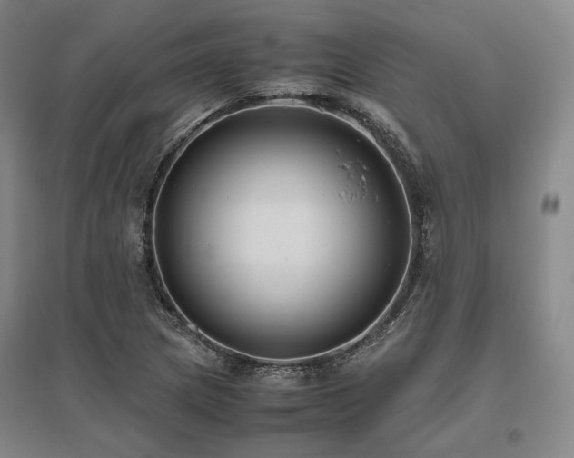 X0000095911217200801111224