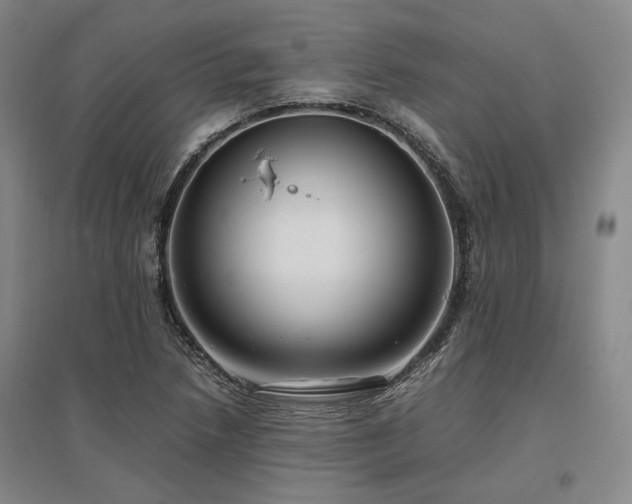 X0000095911218200801111224