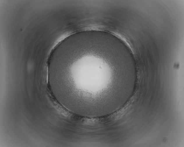 X0000095911219200801111225