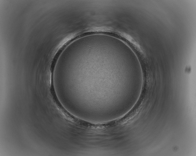 X0000095911221200801111225