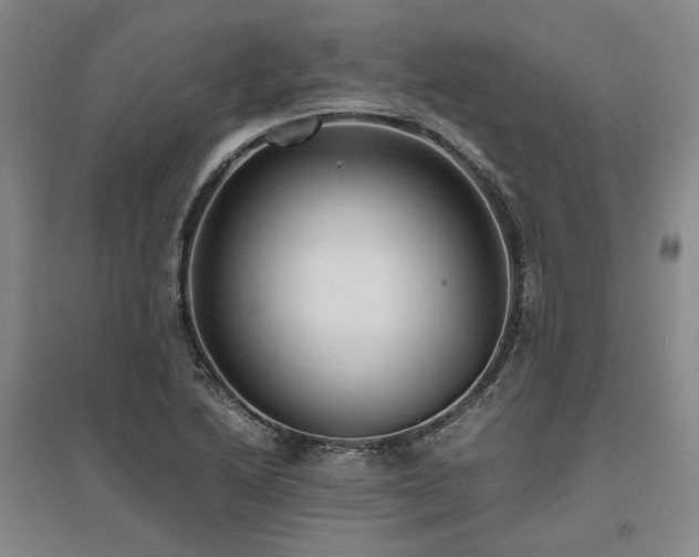 X0000095911222200801111225