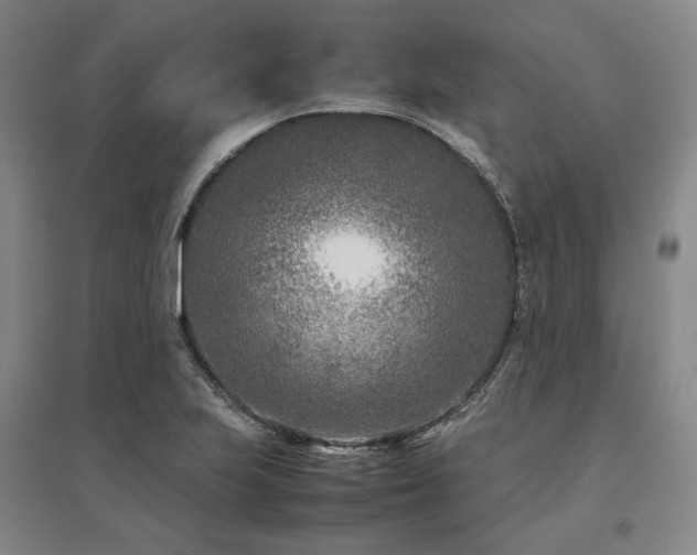 X0000095911223200801111225