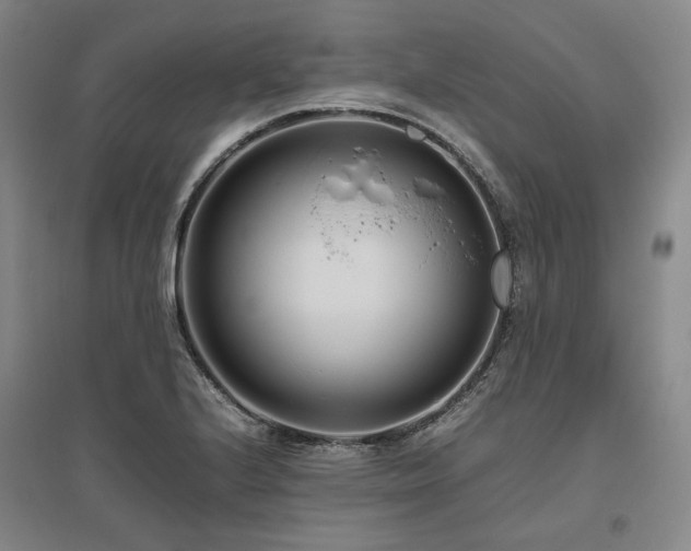 X0000095911224200801111225