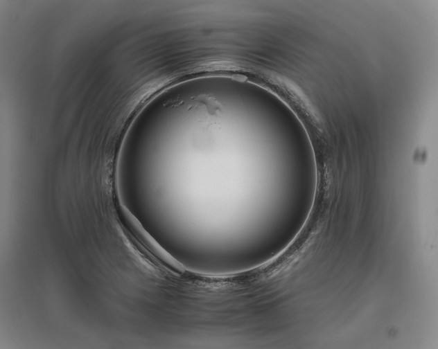 X0000095911225200801111225