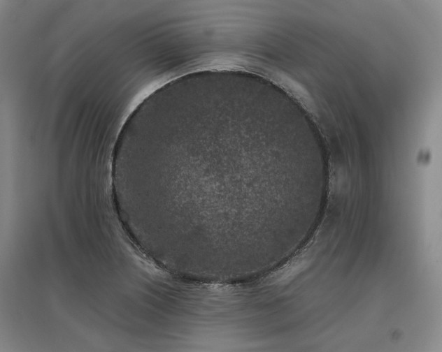 X0000095911226200801111225