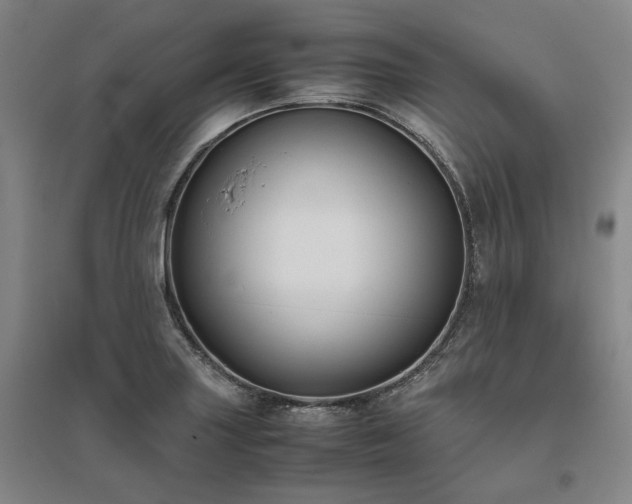 X0000095911227200801111225